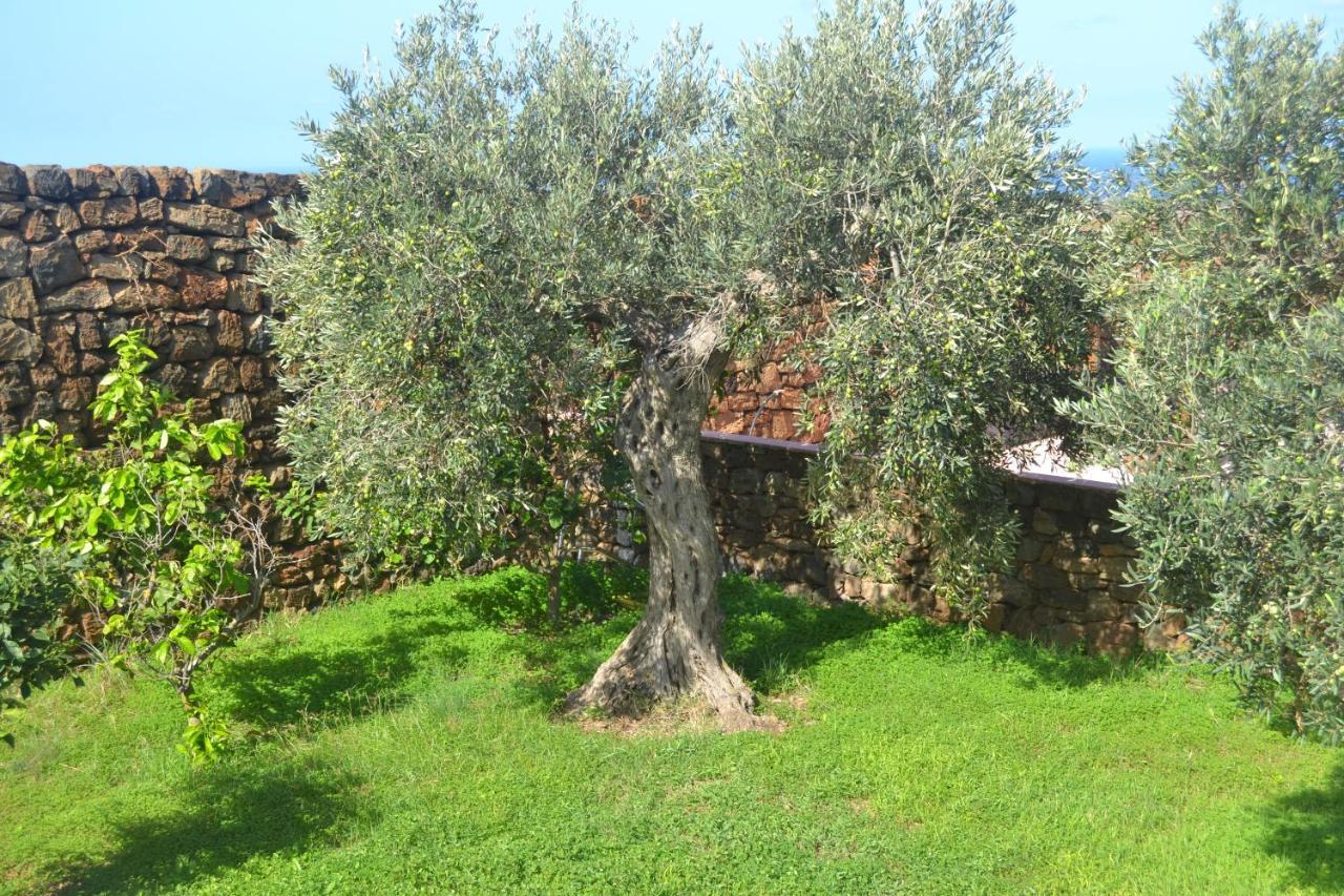 Agriturismo Zinedi Villa Pantelleria Eksteriør billede